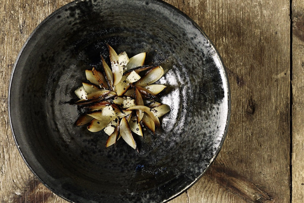 Noma-visite-culinaire-copenhague